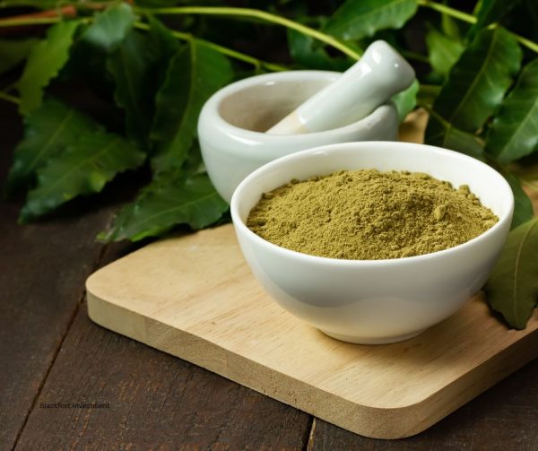 Neem Leaves