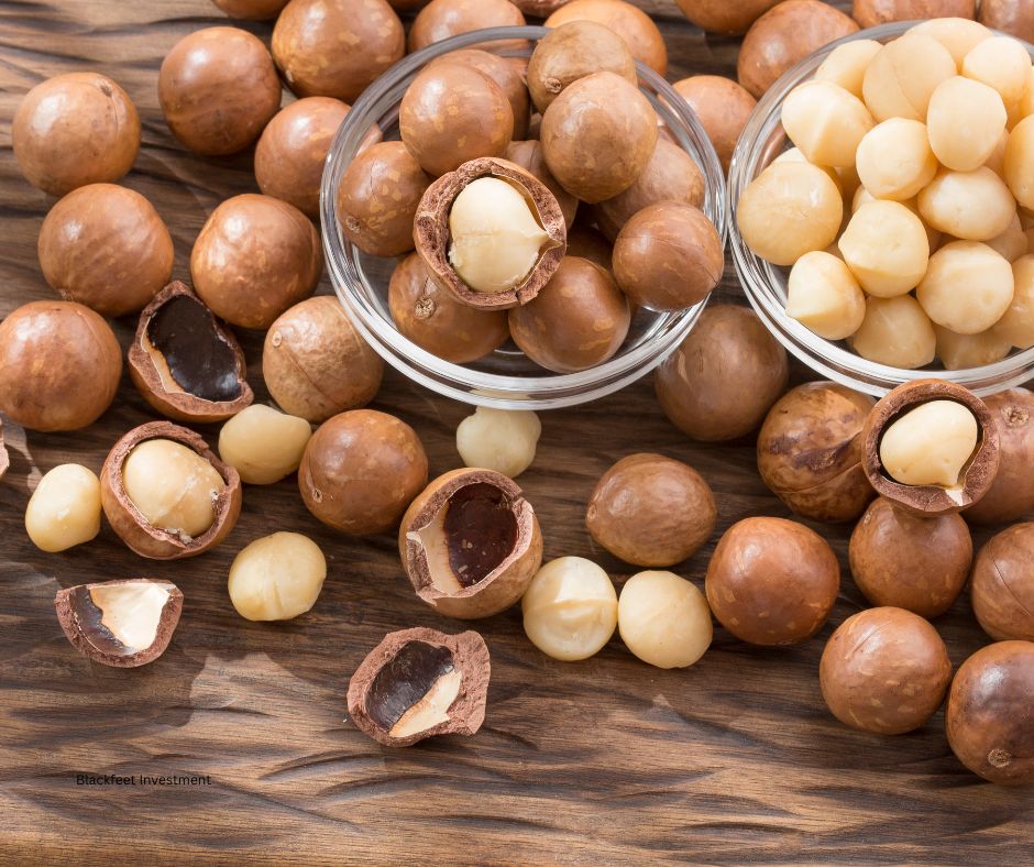 Premium Macadamia Nuts
