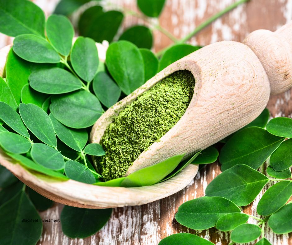 moringa leaves and powder